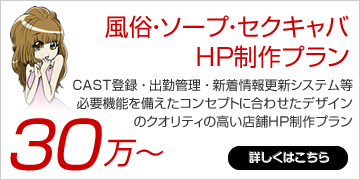 風俗・ソープ・セクキャバHP制作プラン